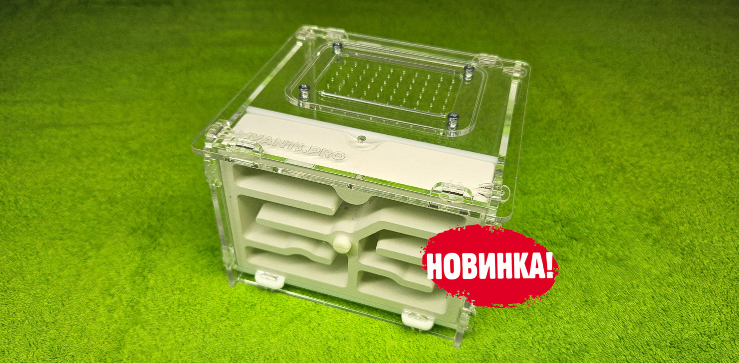 Формикарий Башня Мини