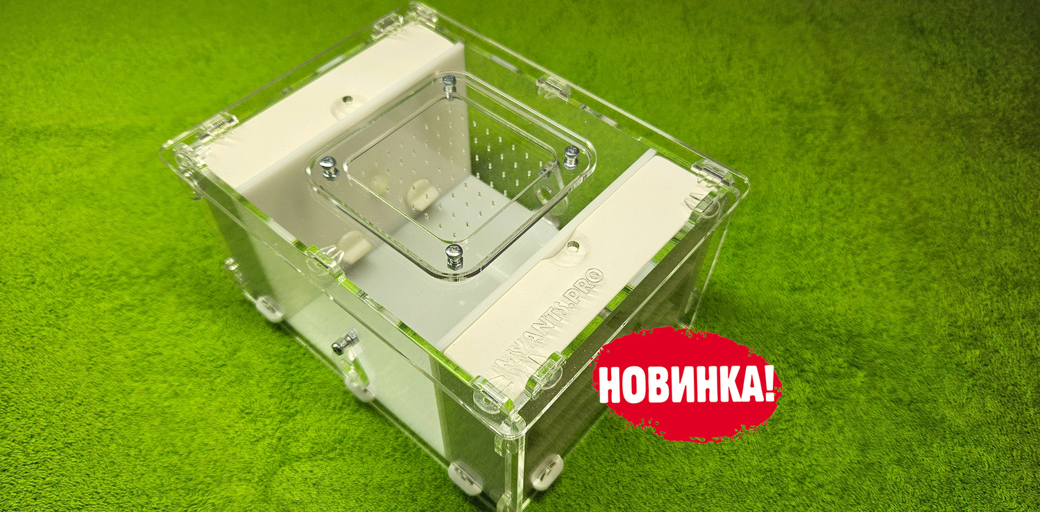 Формикарий Замок Мини Формикарий Замок Мини