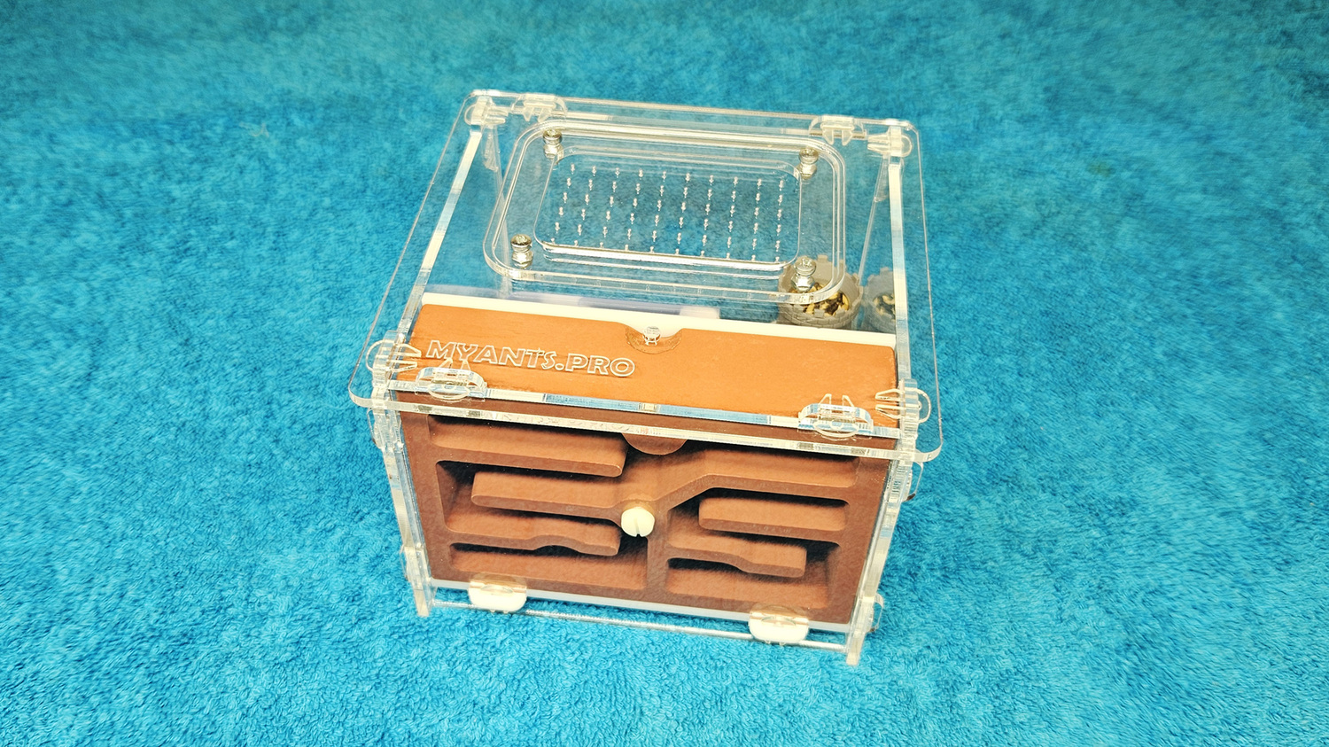 Красная ферма