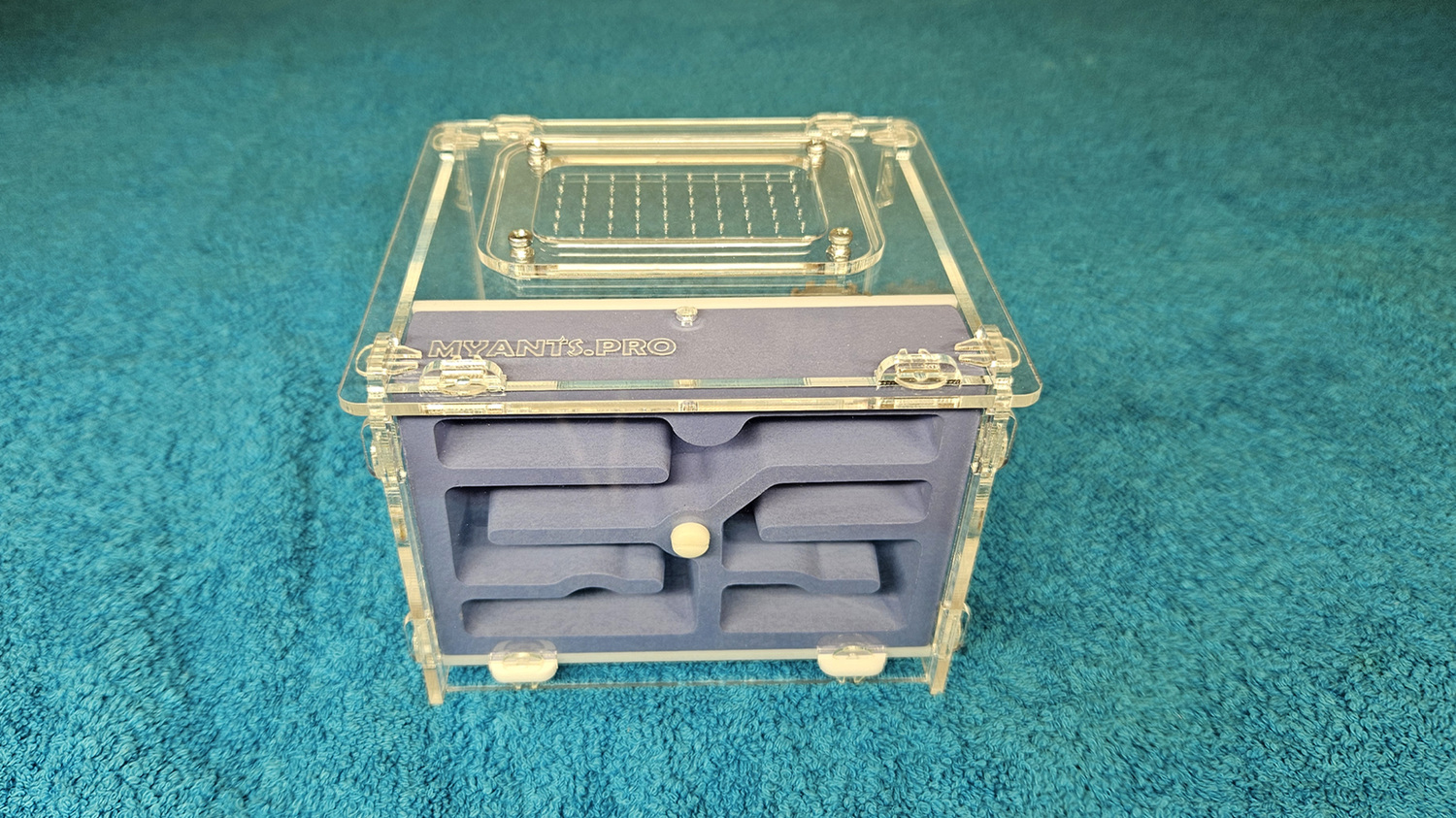 Синяя ферма